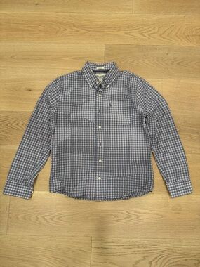 Abercrombie & Fitch Blue and White Checked Button-Down Shirt